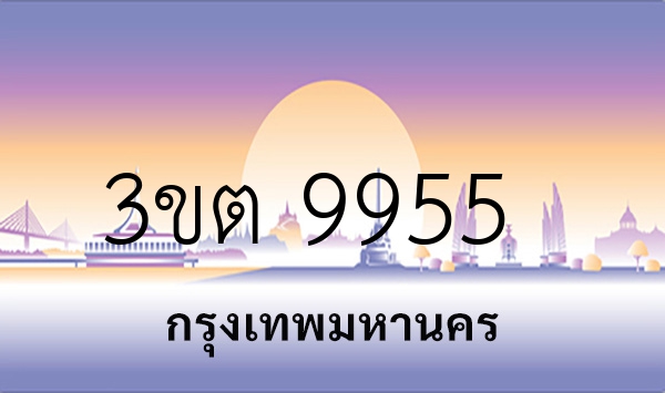 3ขต 9955